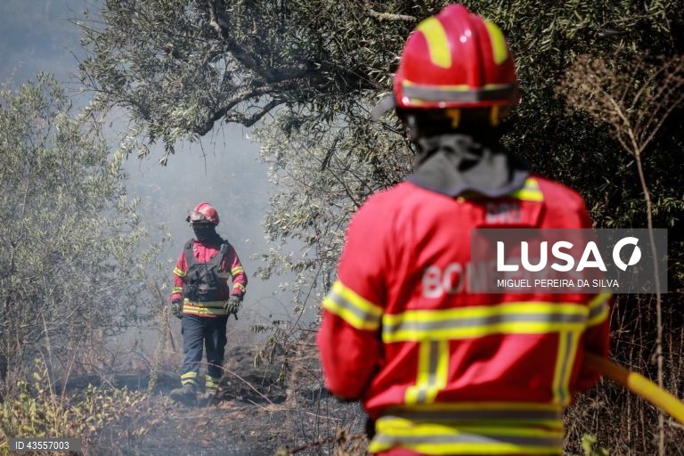 Dominado fogo na zona de Vidigueira que chegou a mobilizar 188 operacionais