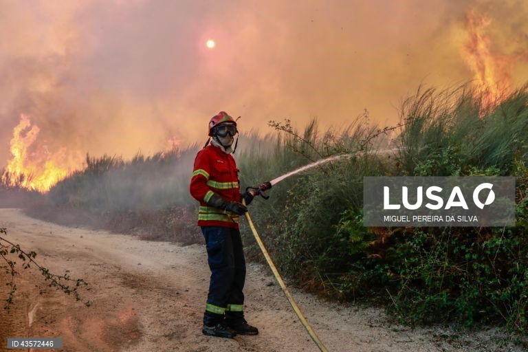 Depesa do Estado com sistema de fogos rurais atingiu 638ME em 2024