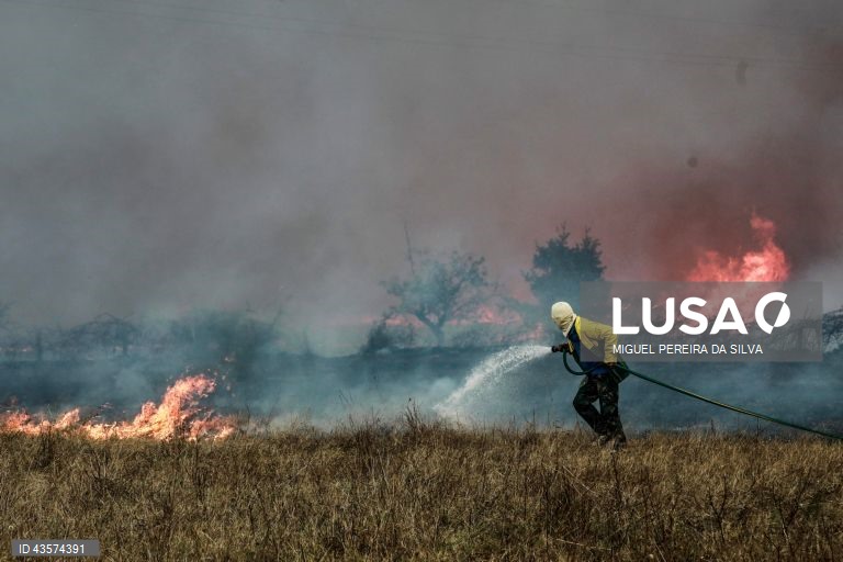 Mais de 100 operacionais e cinco meios aéreos combatem fogo em Avis