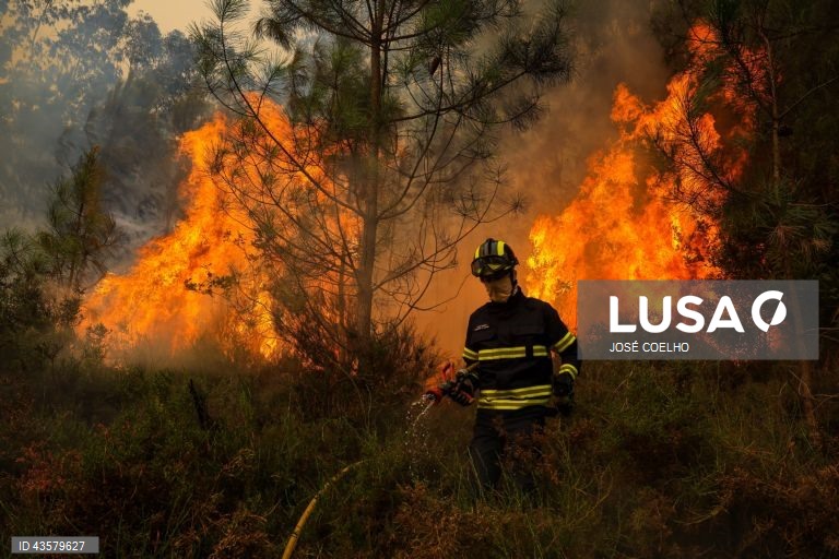 Catorze concelhos de Bragança, Guarda e Faro em perigo máximo de incêndio