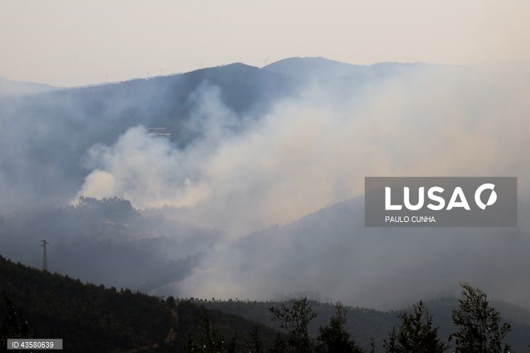 Mais de 40 concelhos de nove distritos em perigo máximo de incêndio
