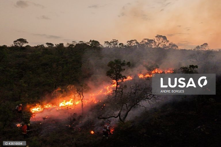 Área ardida no Brasil superou média histórica em 62% em 2024