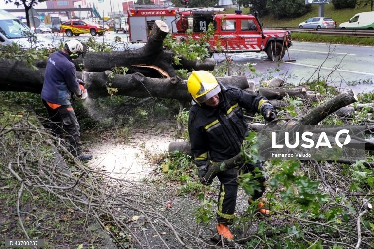 Catástrofes causaram mais mortos e desaparecidos em Portugal na última década - INE