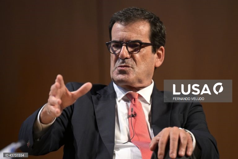 Pavilhão do FC Porto não vai impedir habitação partilhada na escola Ramalho Ortigão