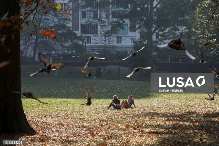 Projetos musicais algarvios atuam no Central Park em Nova Iorque