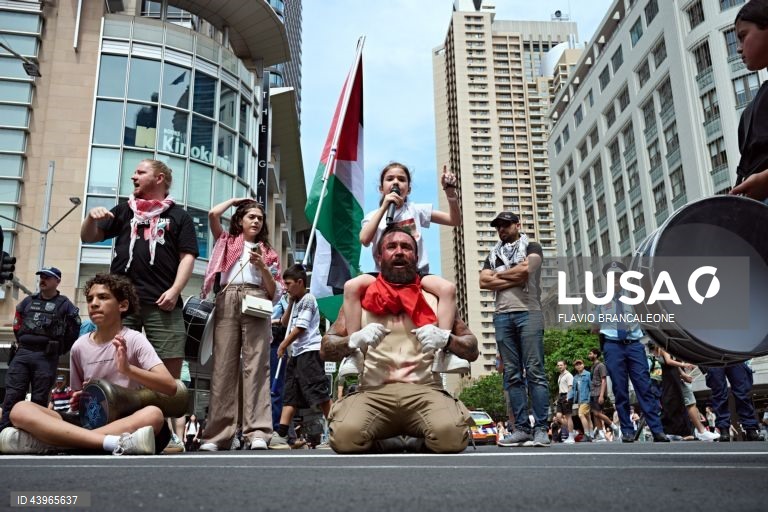 Pro-Palestine protesters rally in Sydney