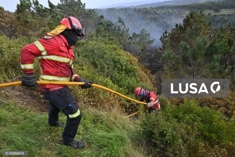Portugal: Almost 30 municipalities at maximum fire risks Sunday
