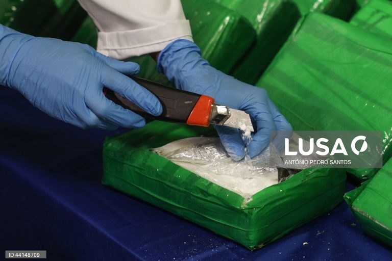 Penas até 14 anos de prisão por tráfico de cocaína em contentores de bananas