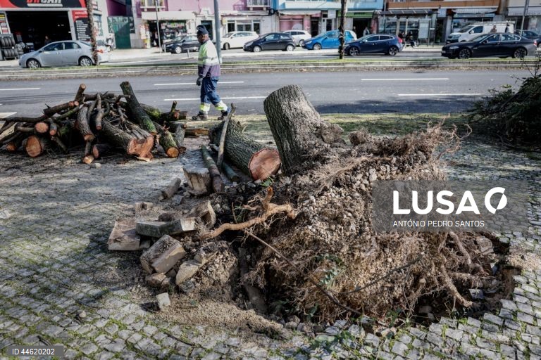 Proteção Civil regista mais de mil ocorrências até às 18:00 a maioria em Lisboa e Vale do Tejo