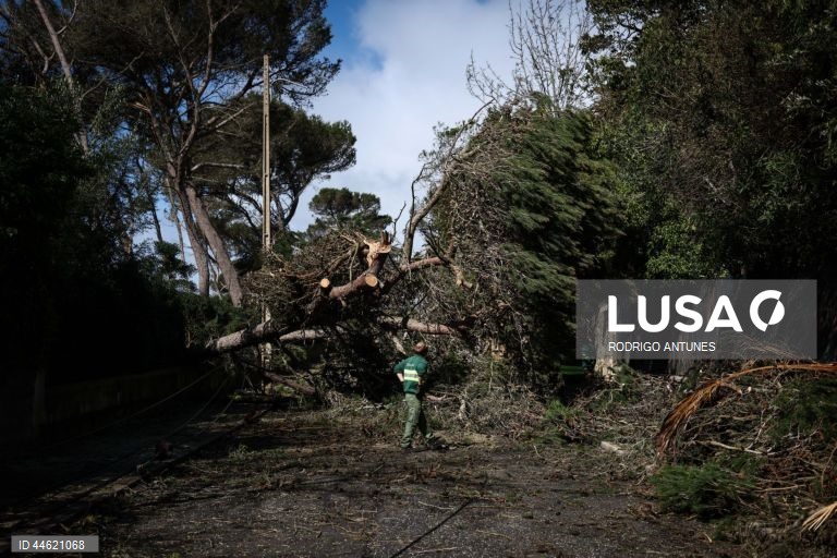 Mau tempo: Cascais estima prejuízos de mais de 6,5 milhões de euros