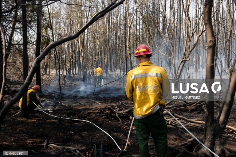 Wildfire in southern New Jersey