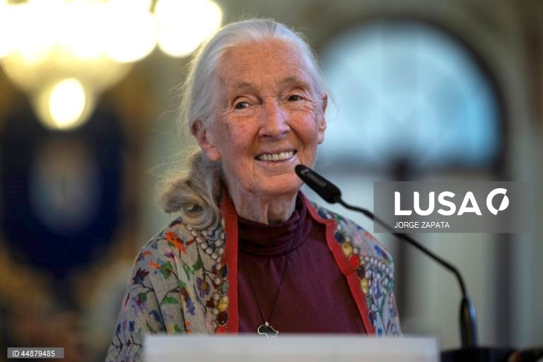 Famosa primatóloga Jane Goodall morre aos 91 anos