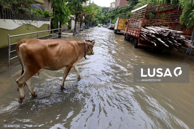 Bangalore hit by flooding after more than 100 mm of single-day rainfall