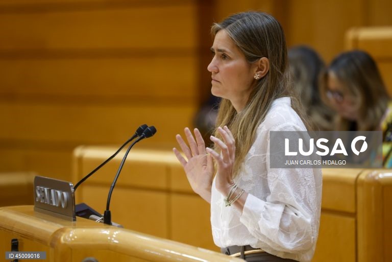 Portugal: April blackout a combination of factors - Spanish government