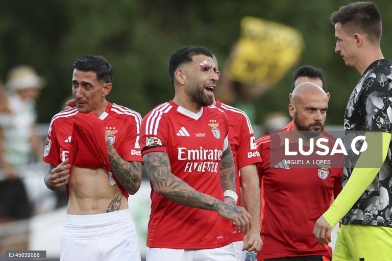 Benfica avança com participações disciplinares e fecha Estádio da Luz à seleção