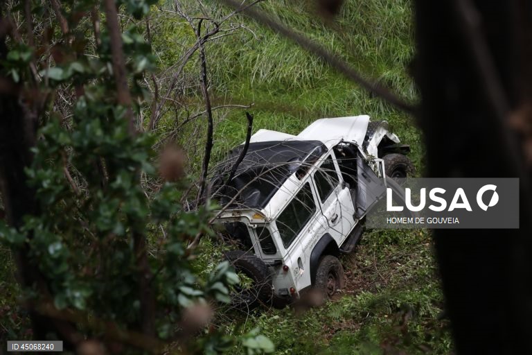 Sete feridos em despiste de viatura turística na Madeira