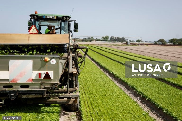 Portugal: Unemployment falls to 5.7% in November, lowest in 2 years - official