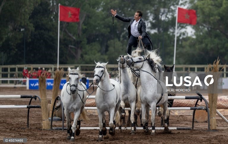Moroccos Championship of Traditional Equestrian Arts in Rabat