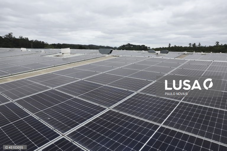 Fapricela inaugura central solar em cobertura equivalente a sete campos de futebol