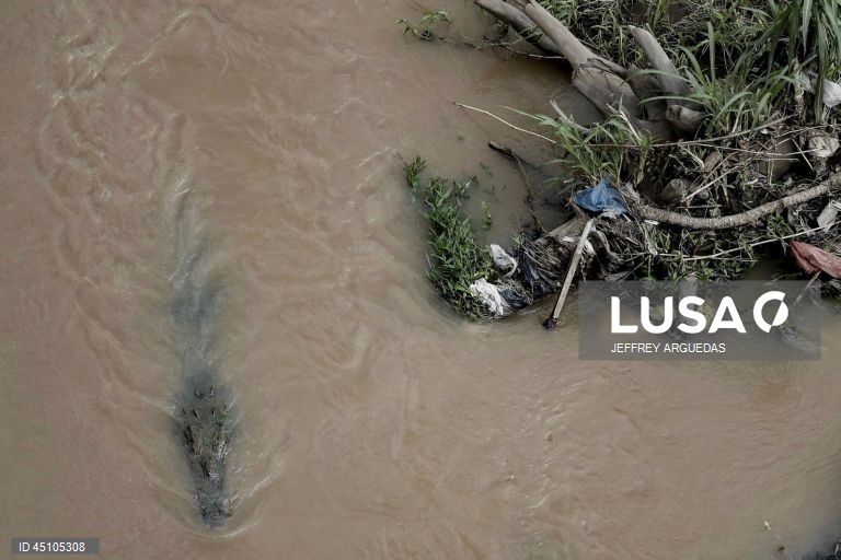 World Environment Day in Costa Rica