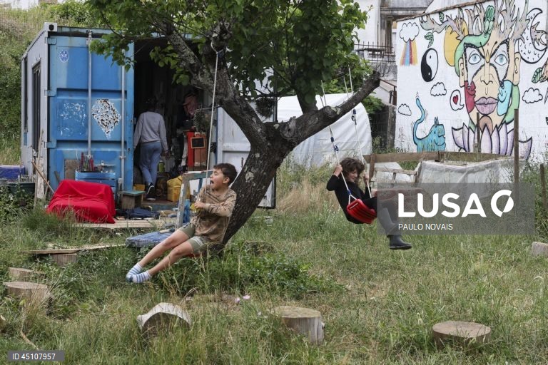 Quinta em Coimbra resgata animais e promove ensino alternativo