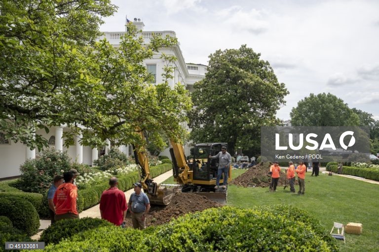 Landscaping at the White House for Trump project to pave over Rose Garden