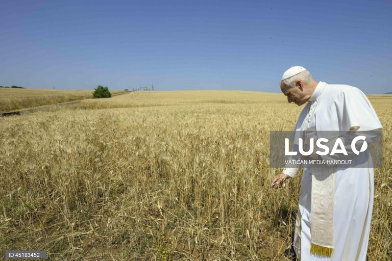 Papa Leão XIV apela à paz e ao fim das guerras
