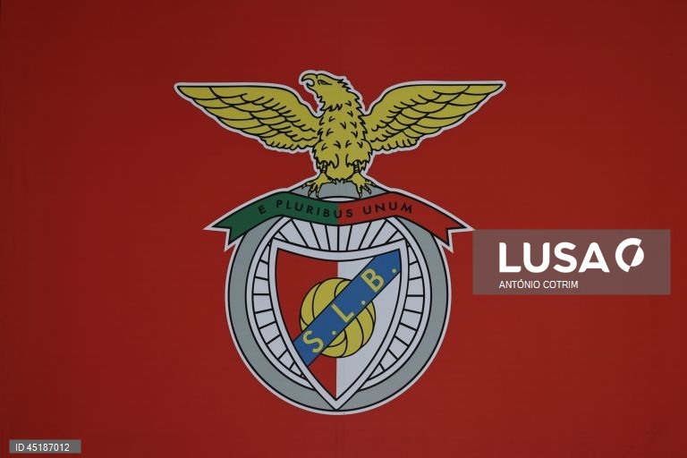 Benfica com lucro de 29 ME nas contas do clube no primeiro semestre de 2025/26