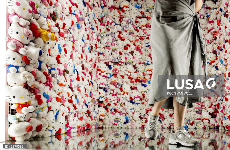 Exhibition at Rotterdams Kunsthal explores cuteness