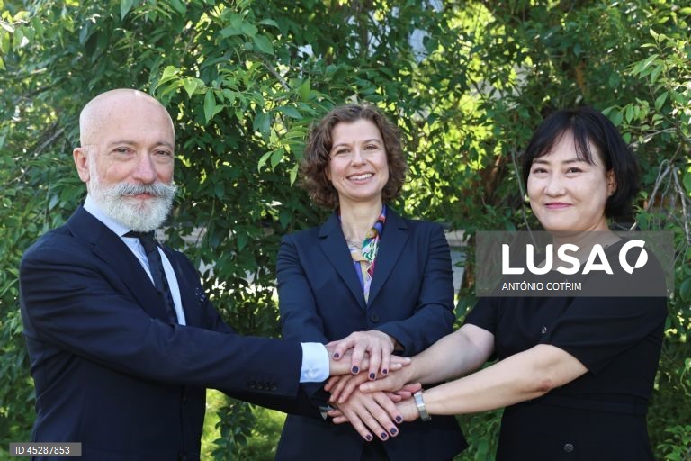 Antártida pode ser modelo para a gestão ambiental global