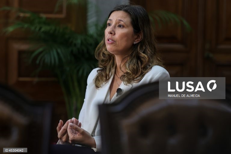 IL quer que lei dos estrangeiros entre em vigor “o mais depressa possível”