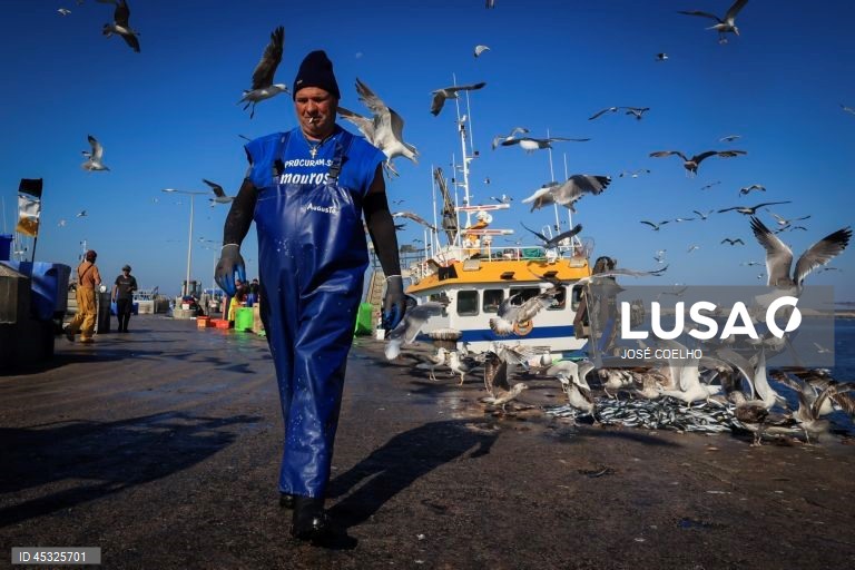 Mau tempo: Pescadores falam em “impacto recorde” com barcos parados desde dezembro