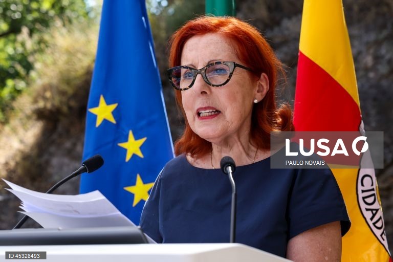 Taxa sobre empresas produtoras de energia elétrica já não é paga este ano - ministra