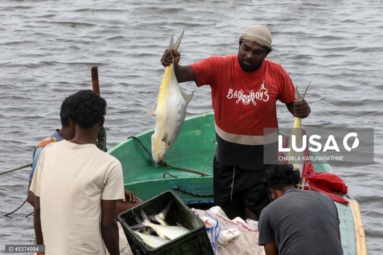 Daily life in Gurunagar fishing village in Jaffna