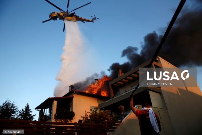 A wildfire burns homes and forest in the residential area of Kryoneri, near Athens