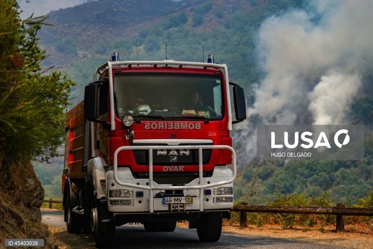 Mais de 40 fogos em Portugal combatidos por cerca de 1.880 operacionais pelas 21:00