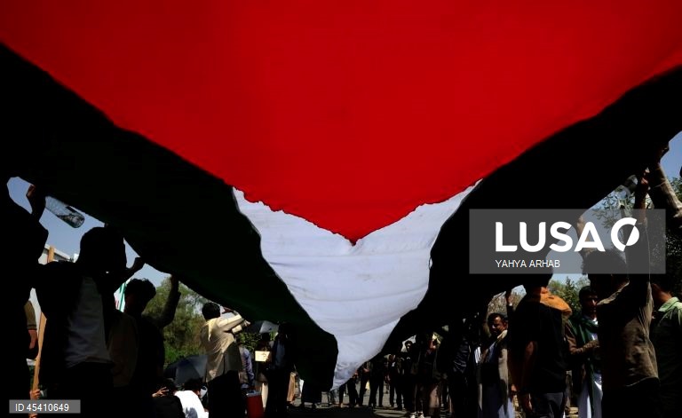 Rally in Sanaa in solidarity with the Palestinian people