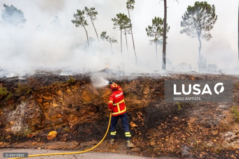 Fogo em Penafiel que alastrou a Gondomar em resolução