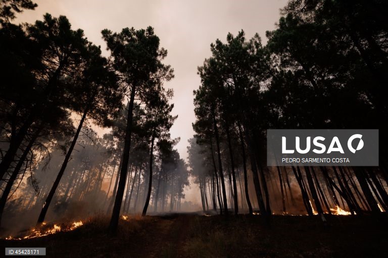 Comando Integrado de Prevenção e Operações vai ser apresentado hoje