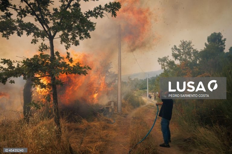 Proteção Civil registou 77 incêndios até às 17:00 envolvendo 1.697 operacionais