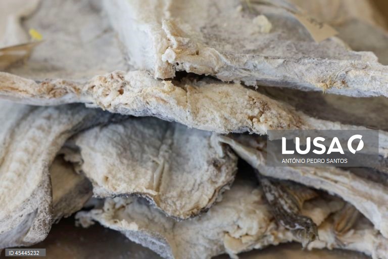 Associação diz que não faltará bacalhau no Natal apesar de preços “pornográficos”