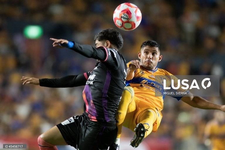 Liga MX - Tigres vs Puebla