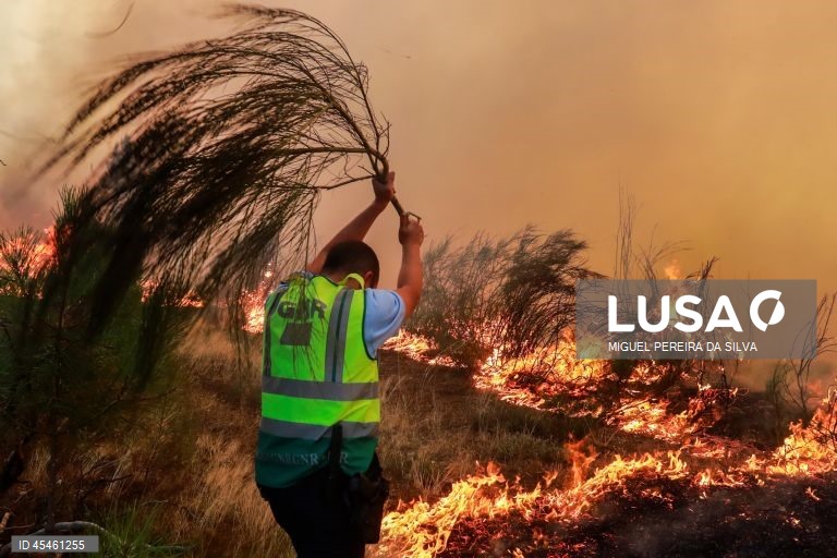 Ocorrências de incêndios rurais aumentam mais de 30% em 2025 - GNR