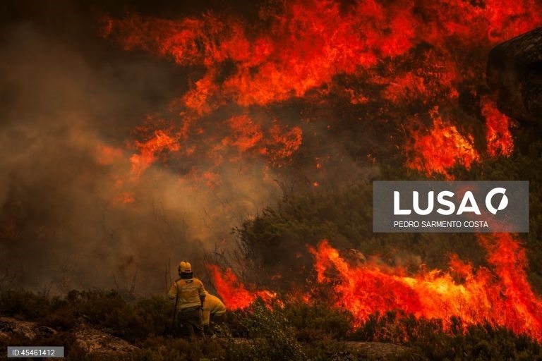 Seis meios aéreos ajudam combate ao incêndio na serra do Alvão em Vila Real