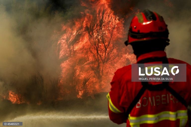 Mais de 2.800 operacionais mobilizados às 04:15 para os sete maiores incêndios