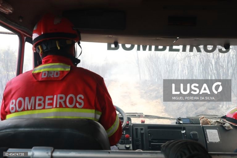 Fogo no concelho de Nisa dominado e em vigilância
