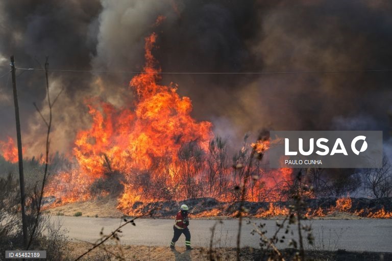 Portugal: More than 80 municipalities at maximum fire risk