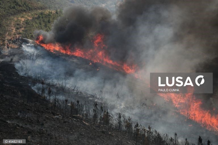 Incêndio em Portalegre e Castelo de Vide 90% dominado