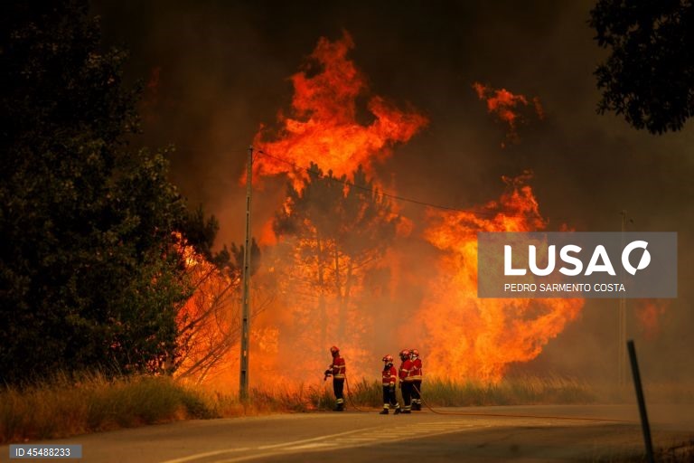 Mais de cem concelhos do Norte, Centro e Algarve em risco máximo de incêndio