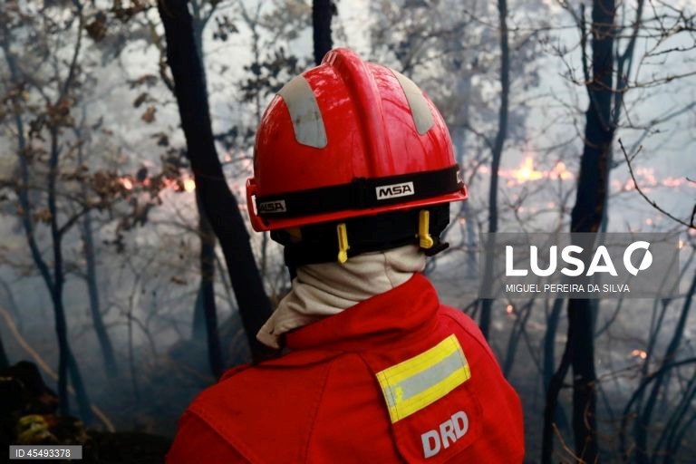 Dominado fogo de Figueira de Castelo Rodrigo
